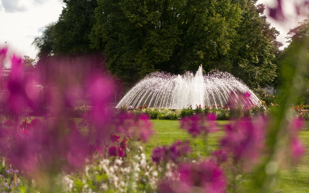 Bundesgartenschau Kurzurlaub Jetzt günstig buchen!